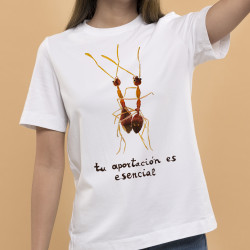 Camiseta "Compañerismo"